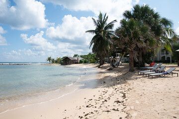 tropical beach with palm trees