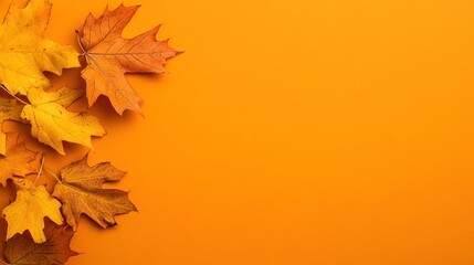 Autumn Leaves on Orange Background: A Seasonal Delight