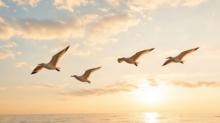 Naklejka premium Silhouettes of Birds Soaring Against a Golden Sunset Sky Over the Ocean