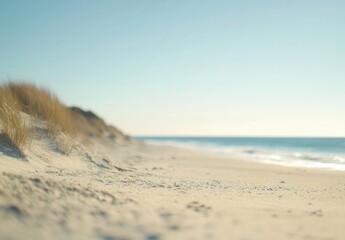 Serene coastal scene: Soft, pale sand meets a calm ocean under a clear, bright sky. Beach grasses gently sway in the breeze, creating a tranquil atmosphere. : Generative AI
