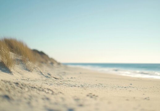 Serene coastal scene: Soft, pale sand meets a calm ocean under a clear, bright sky.  Beach grasses gently sway in the breeze, creating a tranquil atmosphere. : Generative AI