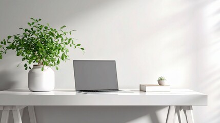 Sleek and Modern Workspace with White Desk and Green Plant Accent