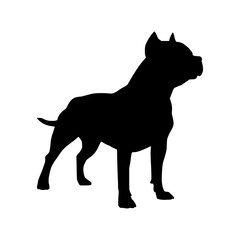 Obraz premium Black Pit Bull Silhouette Vector