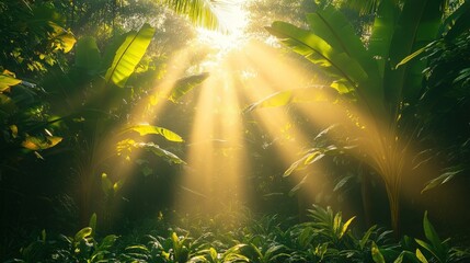Obraz premium Sunlight streams through dense jungle foliage