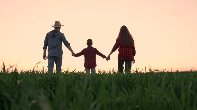 Dad mom child son holding hands in field. Father mother child walking in field, sunset sky. Child boy dad mom walking hand in hand, field corn sprouts. Family farming business. Agricultural industry