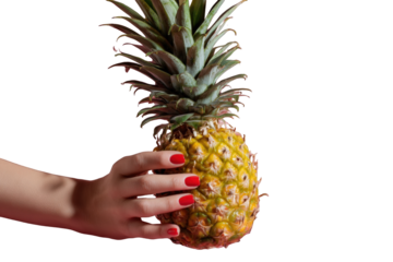 Woman hand holding ripe yellow pineapple fruit red nails tropical summer background food life black sweet juicy fresh color on transparent background
