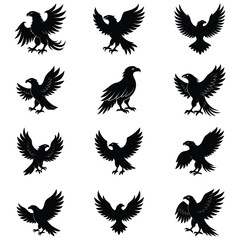 set of eagles vector illustration design bundle on white background