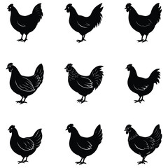 vector set of chicken silhouette bundle