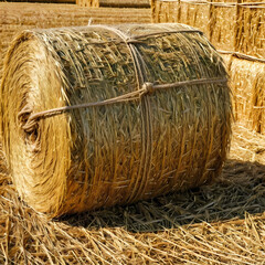 A compact rectangular hay bale, neatly tied with twine, emphasizing its coarse texture and golden hues used for animal feed or farming 