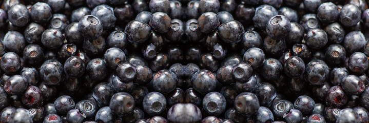 Freshly harvested blueberries spread out in a vibrant display on a wooden table