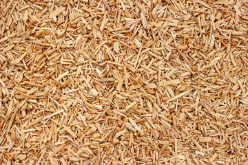 Wood Chips Ground Cover – Natural Mulch Texture for Playground or Garden Use