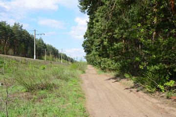 A dirt road alongside a railway track through a forest