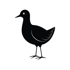 Moorhen wetland bird with distinctive beak silhouette vector image on white background