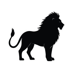 Lion king of the jungle with mane black silhouette vector image on white background