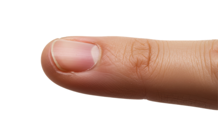 Isolated Finger with nail