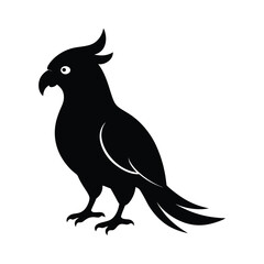 Galah pink and grey cockatoo bird silhouette vector image on white background