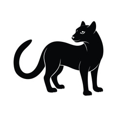 Fossa carnivorous predator from Madagascar silhouette vector image on white background