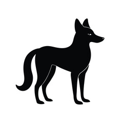 Dhole Asian wild dog species silhouette vector image on white background