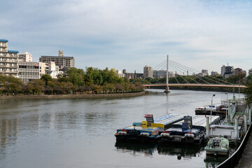 Urban landscape overlooking the Okawa River, Kawasakibashi Bridge and Amijimacho neighbourhood in...