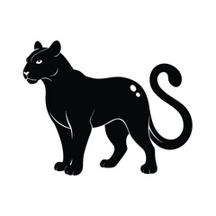 Clouded leopard spotted wild cat black silhouette vector image on white background