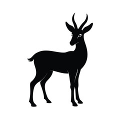 Chamois mountain-dwelling goat-antelope silhouette vector image on white background