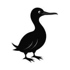 Booby bird tropical seabird in black silhouette vector image on white background