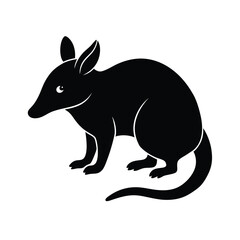 Bandicoot small marsupial animal black silhouette vector image on white background