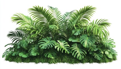 Obraz premium Lush tropical foliage cluster (3)