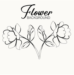 Elegant Minimalist Line Art Floral Design Delicate Botanical Illustrations for Branding and Decoration