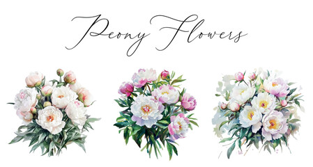 Watercolor set of peony flowers bouquets. Watercolor pink and white peony flowers in watercolor. floral elements for wedding and romantic designs. Watercolor botany. © Narin
