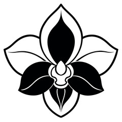 Elegant Black and White Orchid Silhouette