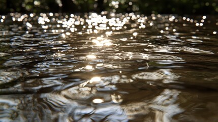 Sparkling Water Surface with Light Reflections in Natural Setting