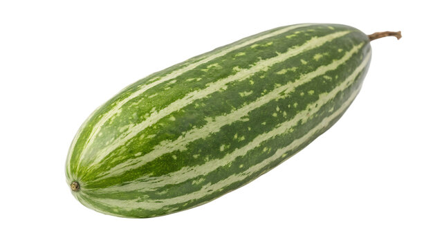 Pointed gourd isolated on a transparent background