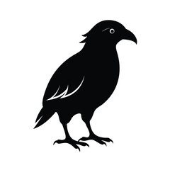 Kea mountain parrot from New Zealand silhouette vector image on white background