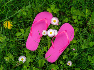 A pair of essential flip flops with thong uppers and flat soles. Womens flip flop sandals. Pink...