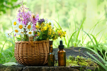 wild flowers and herbs in basket, glass bottles on tree stump, forest background. eco friendly care organic product. beauty treatment, Spa concept. Cosmetic products advertising backdrop design