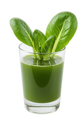 Green juice in glass with fresh leaves on top, nutrient-dense, healthful and bright