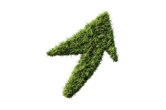 Green grass arrow isolated on transparent background