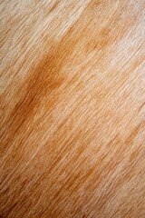 Naklejka premium Light brown wood grain texture
