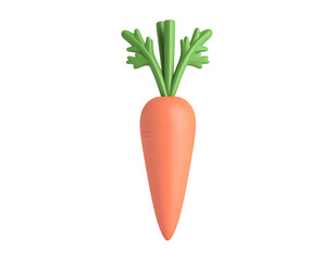 Fresh organic orange carrots with green leaves, a healthy root vegetable isolated on white