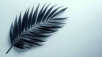 Dark palm frond against a muted background.