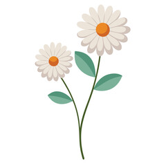 Charming Daisies Floral Arrangement Vector Illustration Design Element