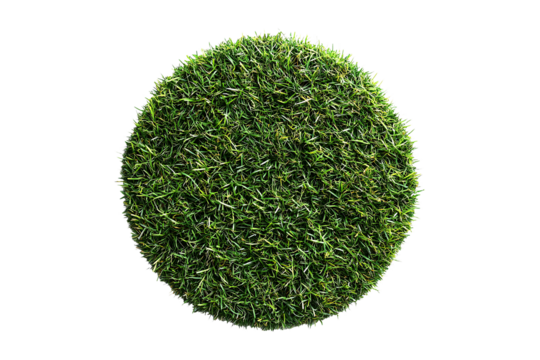 Grass green circle isolated on transparent background
