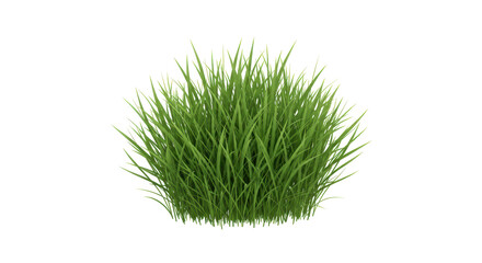 Isolated Bunch of Green Grass