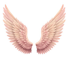 Obraz premium Pink Angel Wings Background isolated on transparent background