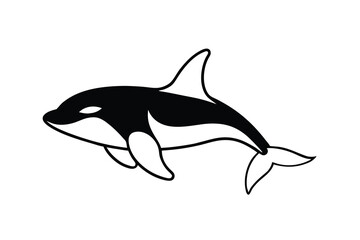 dolphin isolated on white