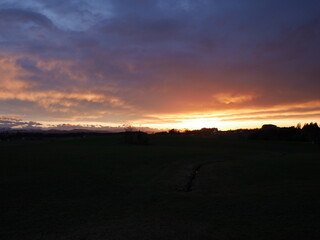 Beautiful sunset over a field with a few trees in the background