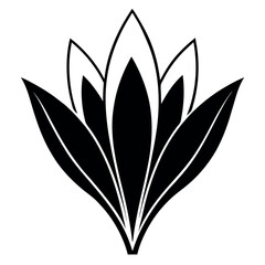 Elegant Black and White Floral Design