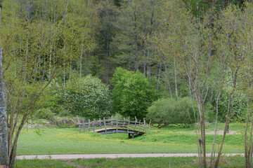 wooden bridge for tourists in a nature park in early spring