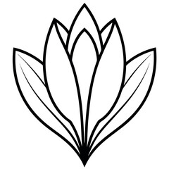 Elegant Black and White Floral Design